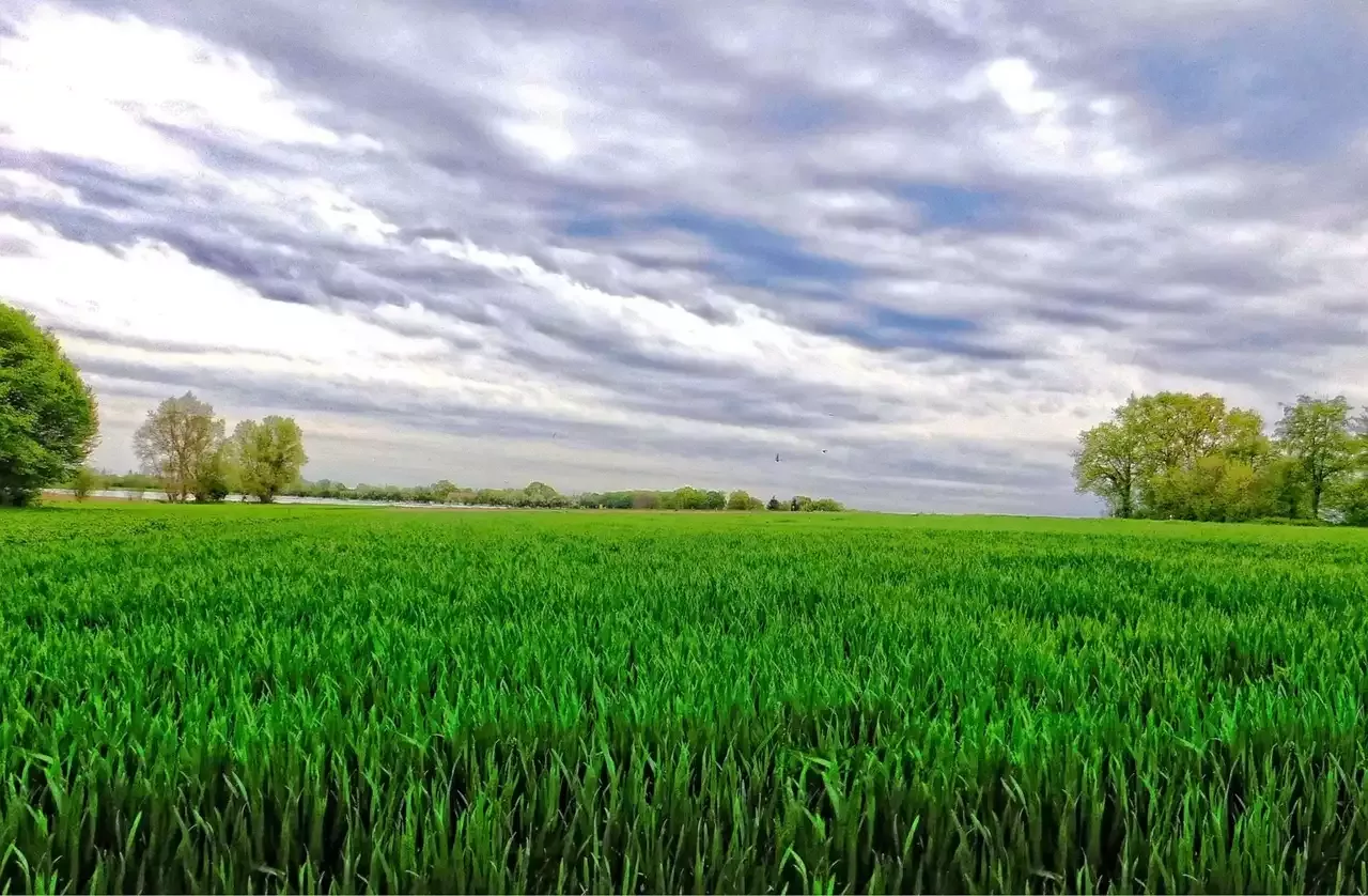 תוכנת עריכת תמונות GIMP היא חינמית